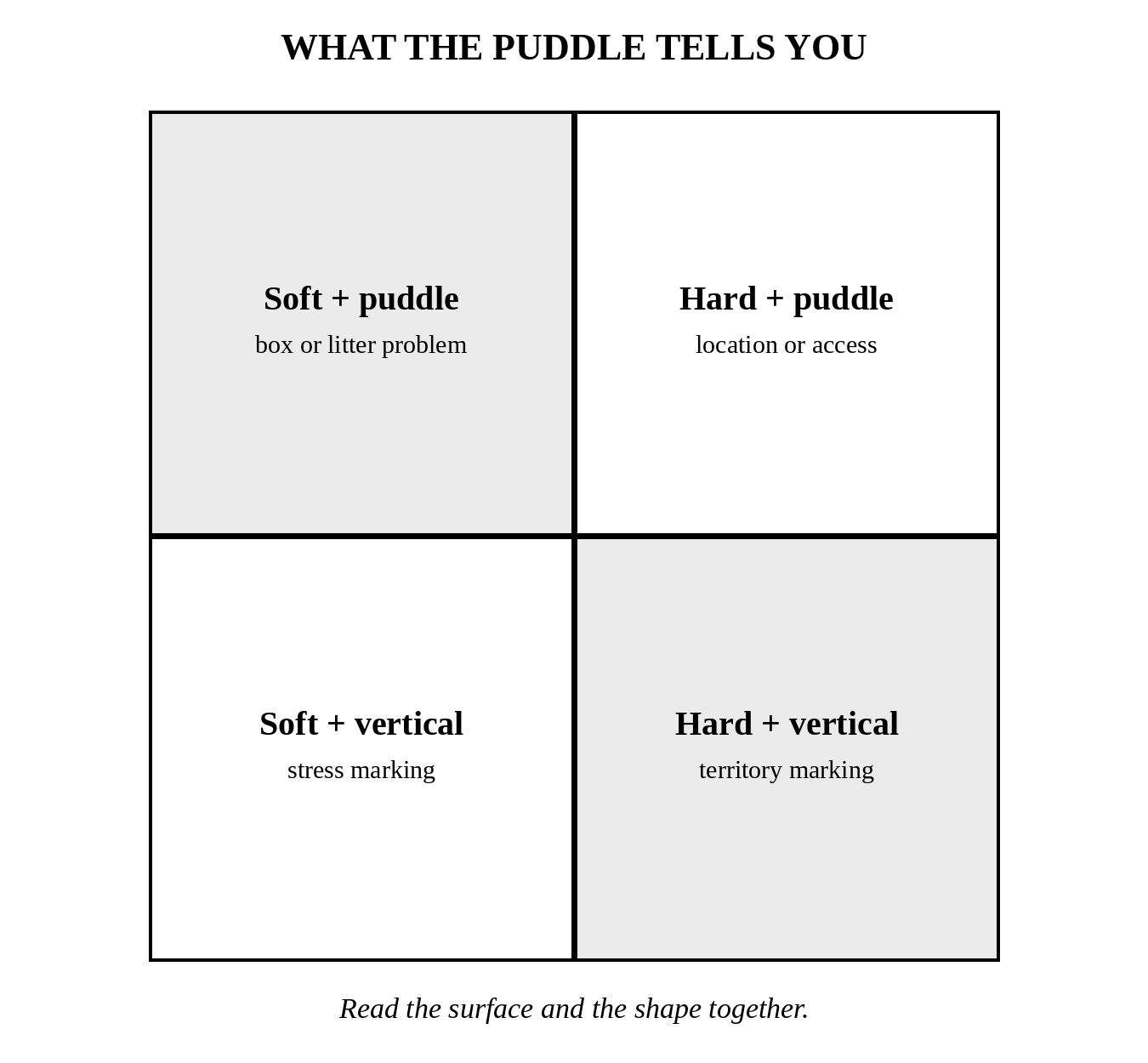 what the puddle tells you