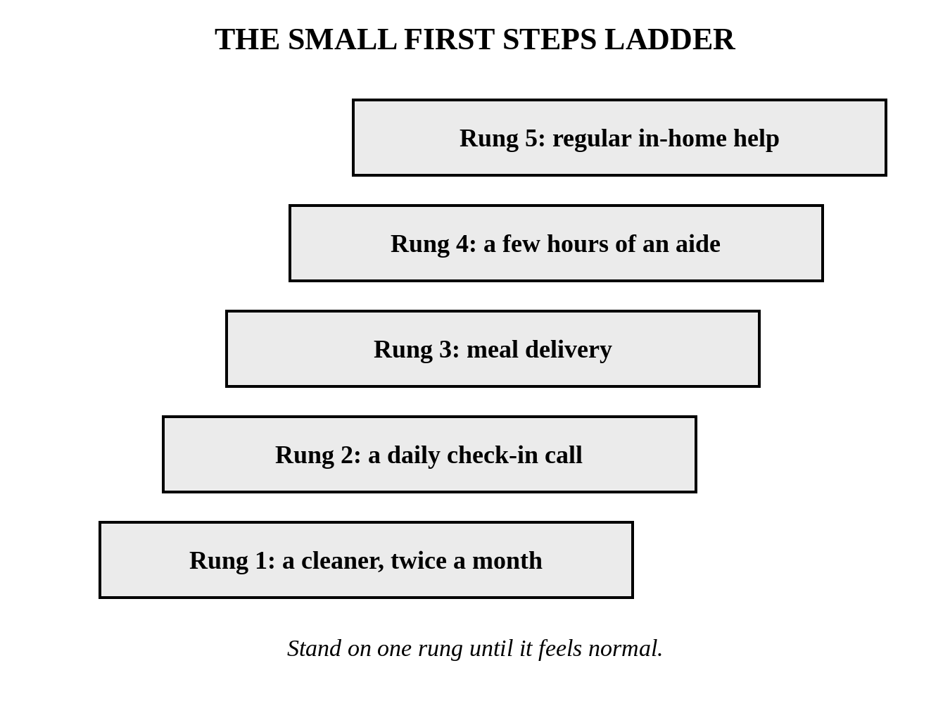 the small first steps ladder